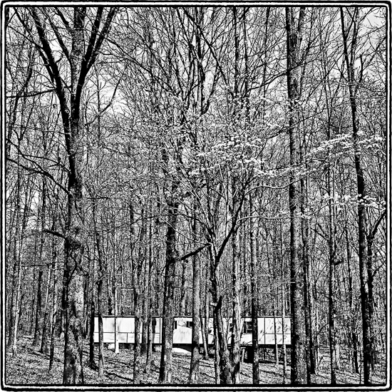Mobile Home & Dogwoods, Tennessee  1997
