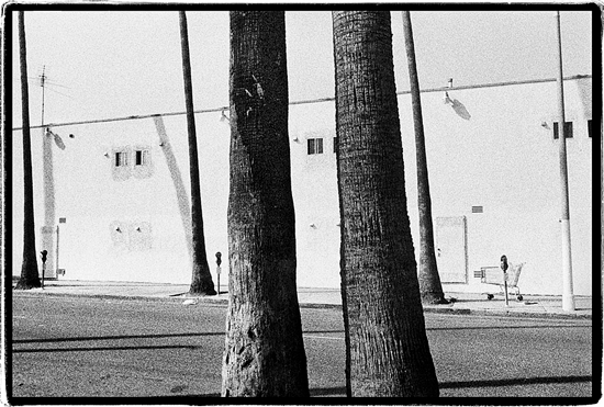 Palms, Los Angeles 2004